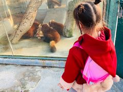 -泉州海丝野生动物世界