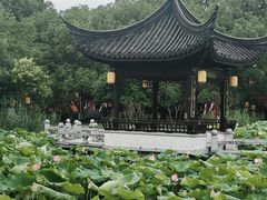 -丝绸小镇荻港古村