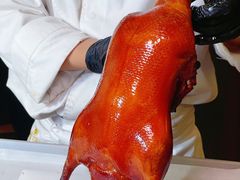 -秀儿四九城·新京菜(亚运村鸟巢店)