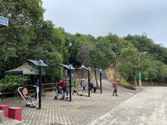 -天鹿湖森林公园