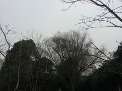 -堤角公园