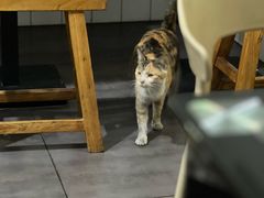 -饶妈长寿米粉(东和春天店)