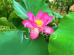 -云溪植物园