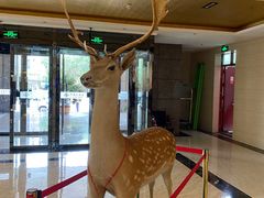 -乌苏沂疆大酒店