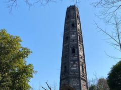 -上海佘山国家森林公园天马山园