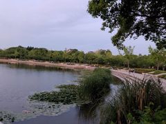 -新江湾城公园