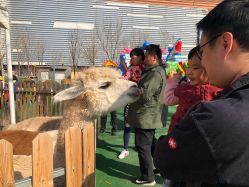 -萌宠亲子动物乐园(槐房万达店)