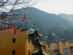 -九华山聚龙大酒店