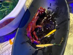 -桂满陇天书(南京德基旗舰店)