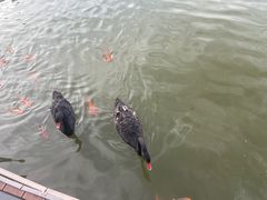 -春晖园度假酒店温泉