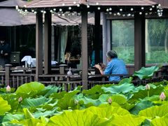 -风渡嘉荷·美式西餐厅·招牌汉堡·烤鸡·牛排(西三旗金隅店)