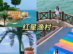 -HOWOW·D2Y(柏威年店)