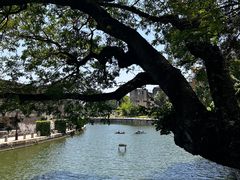 -石炮台公园
