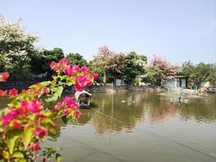 -新合益乡村农庄