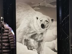 -MONCLER(武汉国际广场店)