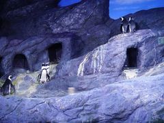-暹罗海洋世界