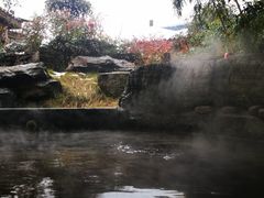 -杭州第一世界大酒店·云曼温泉