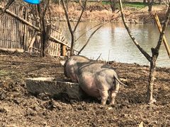 -长兴太湖图影湿地文化园