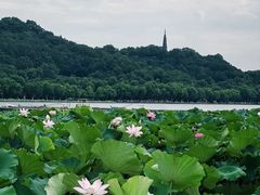 -北山街历史文化街区
