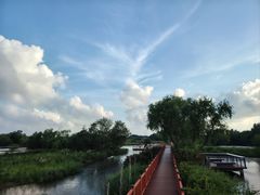 -芒洲湿地公园