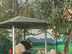 -苏州太湖国家湿地公园