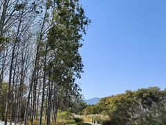 -翠湖国家城市湿地公园