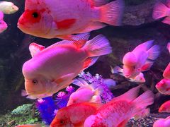 -泉城欧乐堡海洋极地世界