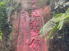 -赤水丹霞旅游区·大瀑布