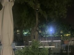-蘇河湾·新鲁菜·泰山宴(泰山店)