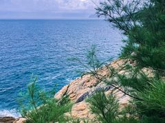 -广东惠东海龟国家级自然保护区