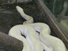 -上海大自然野生昆虫馆(东方明珠·爬宠昆虫探索中心)