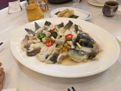 -有腥气私房菜·寻味顺德