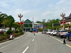 -打洛口岸