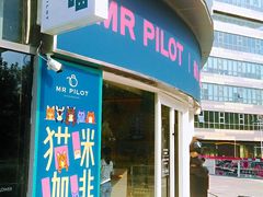 门面-飞行喵MR PILOT|猫舍·猫咖(静安大融城店)