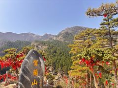 -国强手抓(西夏区店)