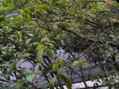 -故乡缘·香格里拉山庄(冷竹路店)