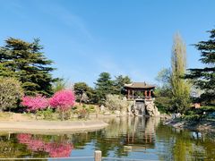 -国家植物园南园