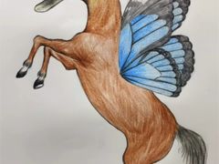 -成都大熊猫繁育研究基地
