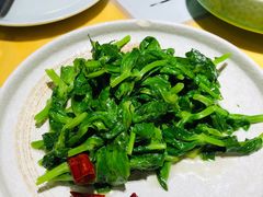 -素虎小呆鸟(西二旗店)