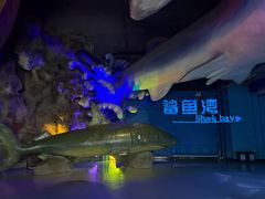 -泉城欧乐堡海洋极地世界