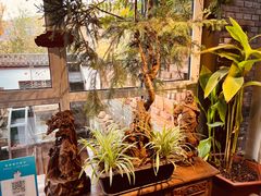 -慢丽江·云南野生菌土鸡锅(西山店)