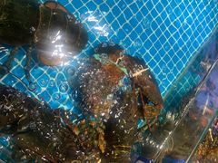 -驻海渔市(置信店)