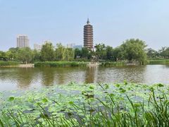 -西海子公园