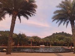 -腾冲洞山温泉村