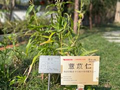 -广州神农草堂中医药博物馆
