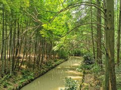-同里国家湿地公园