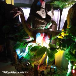 -恐龙探索乐园(磁器口店)