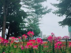 -二沙岛艺术公园
