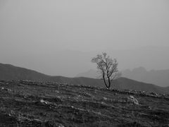 -妙峰山风景名胜区
