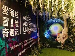 -爱丽丝冒险奇遇记